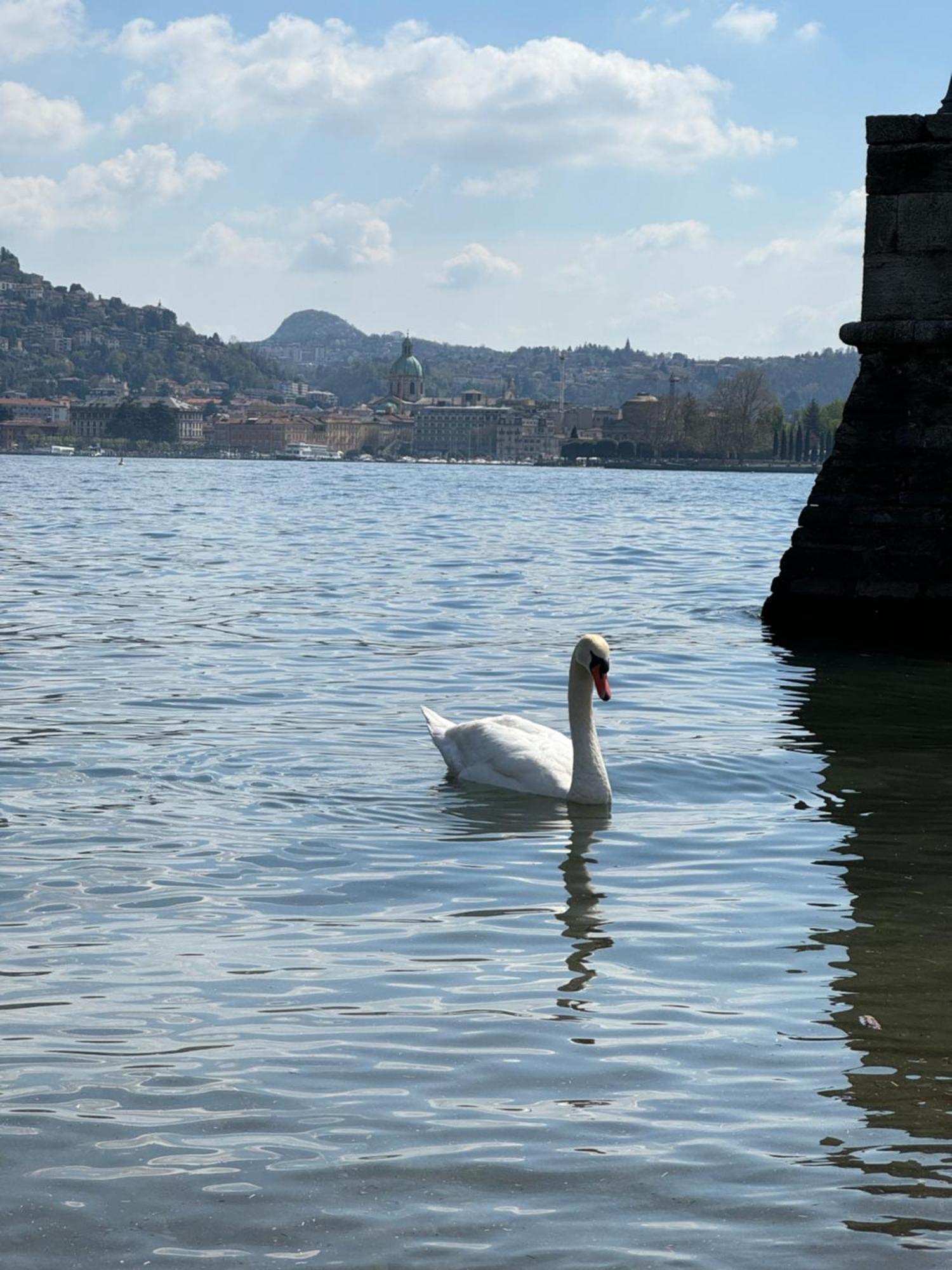 Portatorre Suite, A Charming Apartment In The Heart Of Como, Free Private Parking, Air Conditioning & More! Extérieur photo